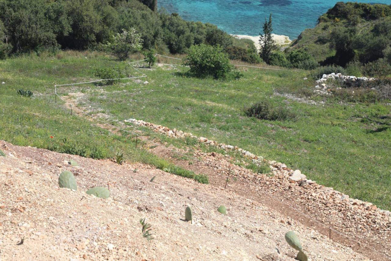 Zante Xigia Bay Villas Khartata ภายนอก รูปภาพ